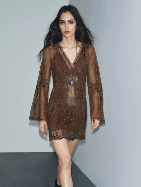 Zara Brown Sheer Beaded V-Neck Mini Dress - Picture 5 of 9
